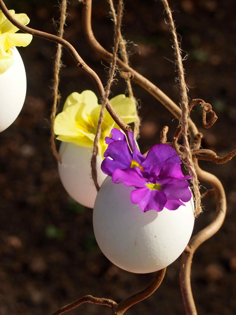 oeufs fleurs