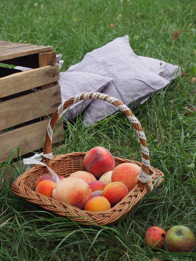 panier de fruits du verger