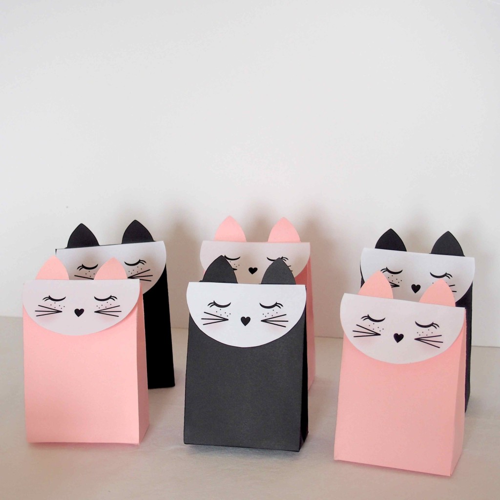 boîtes cadeaux chat