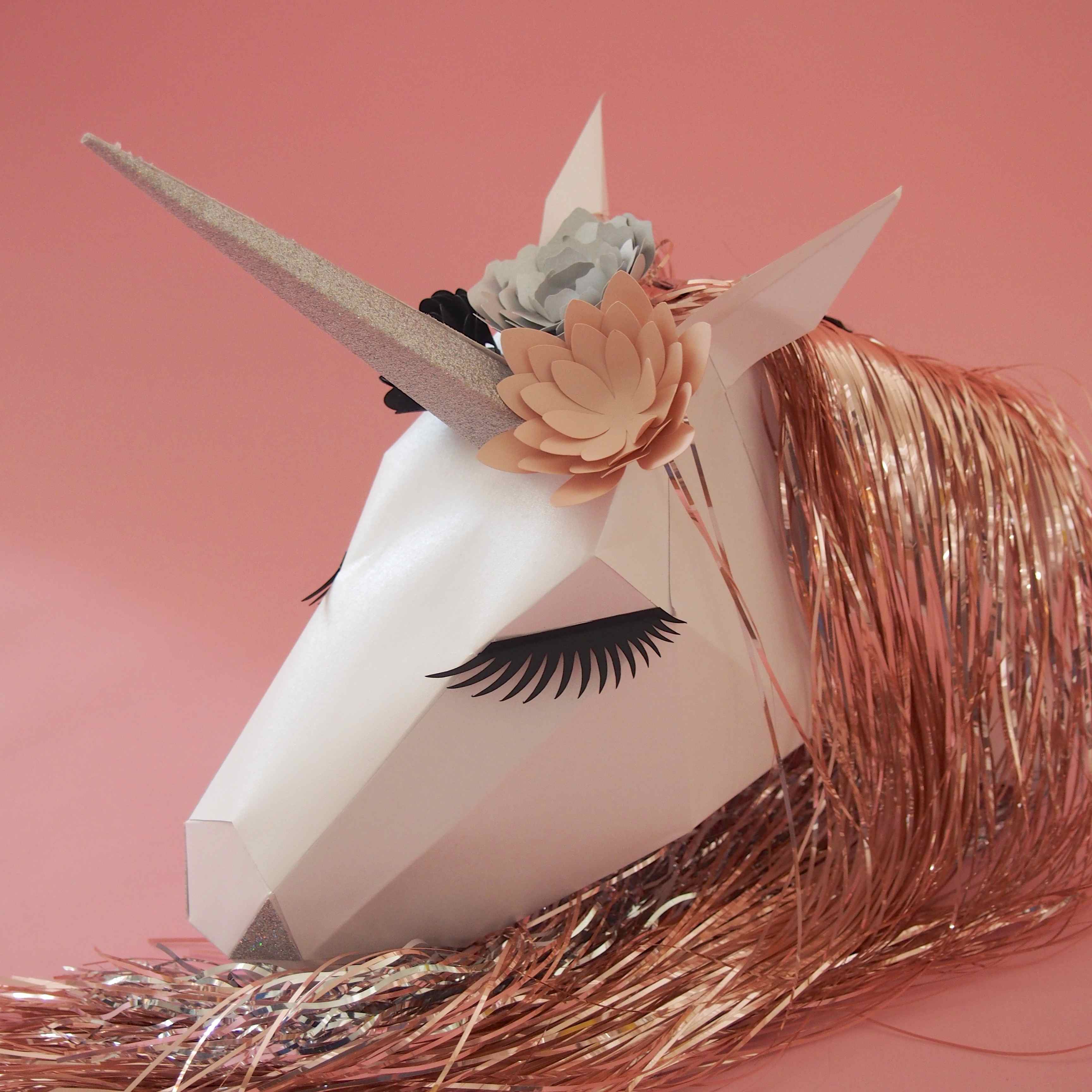 DIY licorne : les activités avec des licornes de Tête à modeler