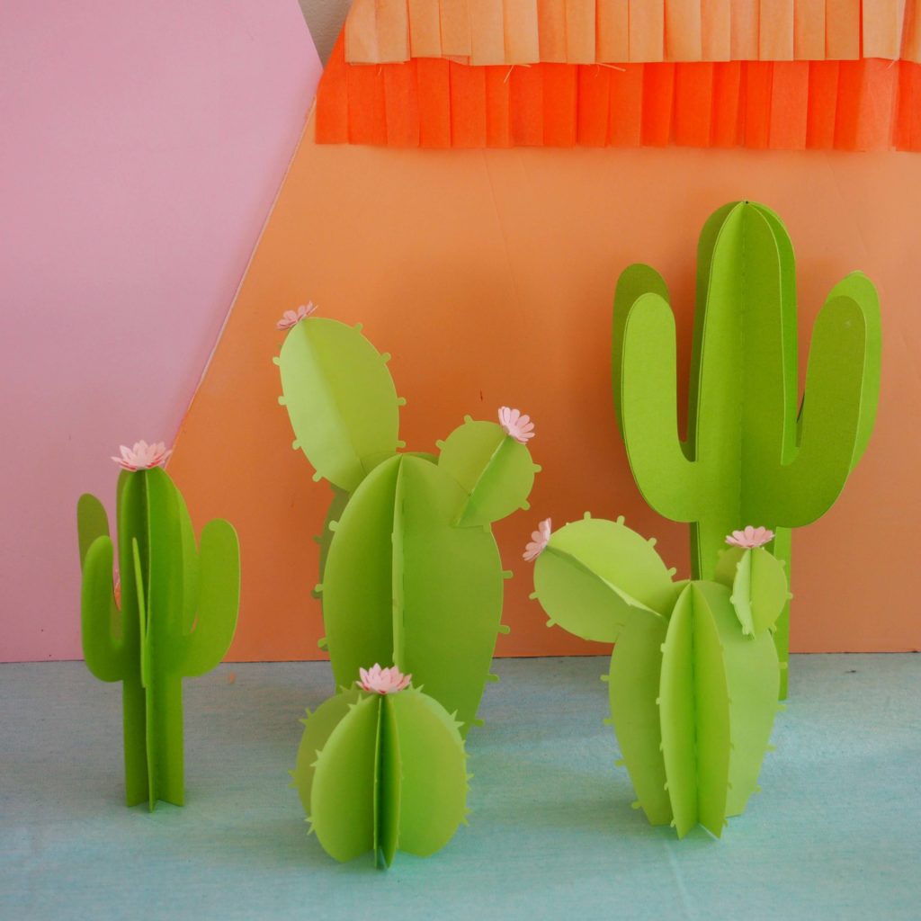 cactus papier