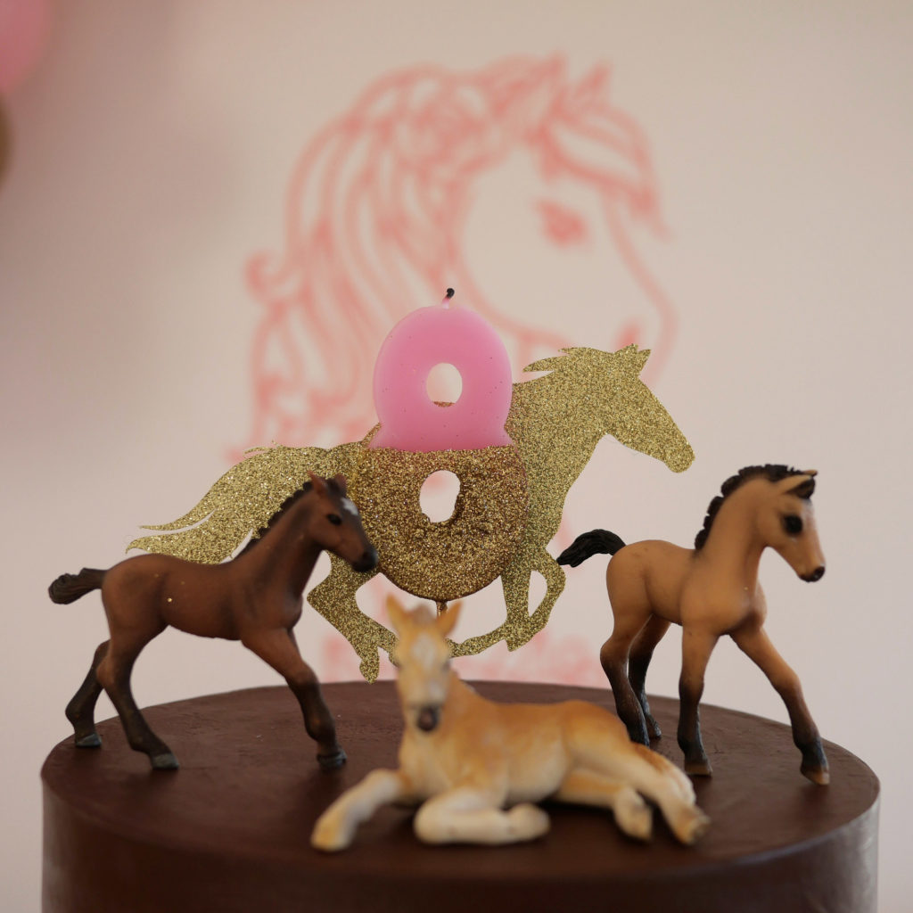 cake topper anniversaire cheval